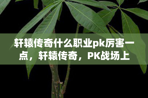 轩辕传奇什么职业pk厉害一点图片