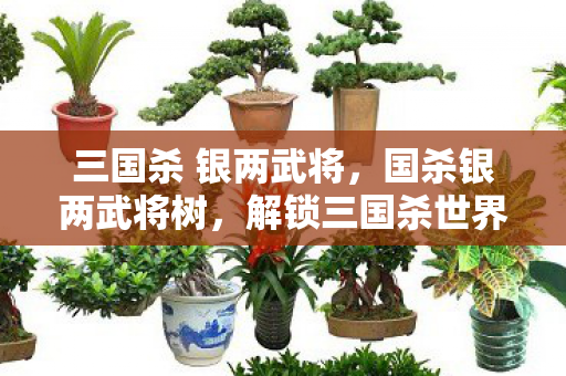 解锁三国杀世界的财富与策略图片