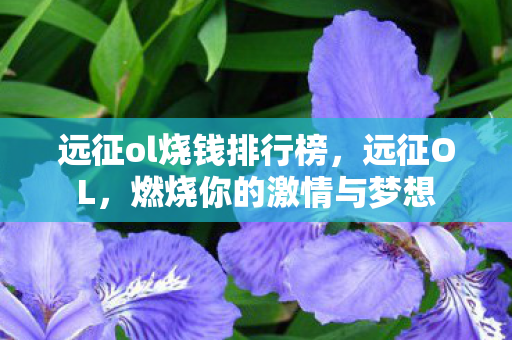 远征ol烧钱排行榜图片