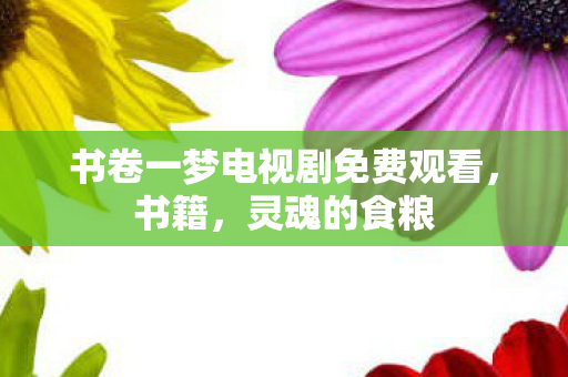 书卷一梦电视剧免费观看图片