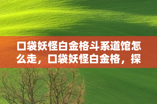 口袋妖怪白金格斗系道馆怎么走图片