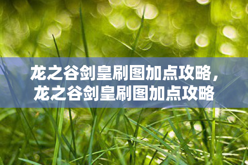 龙之谷剑皇刷图加点攻略图片