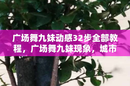 广场舞九妹动感32步全部教程，广场舞九妹现象，城市文化的新风景线