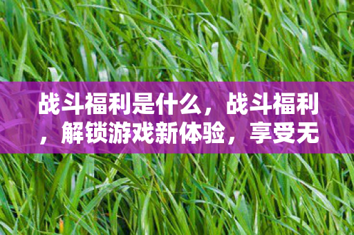 战斗福利是什么，战斗福利，解锁游戏新体验，享受无限乐趣