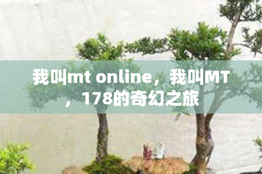 我叫mt online图片