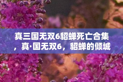 真三国无双6貂蝉死亡合集,真·国无双6,貂蝉的倾城传奇 真三国无双6貂蝉死亡合集,真·国无双6,貂蝉的倾城传奇