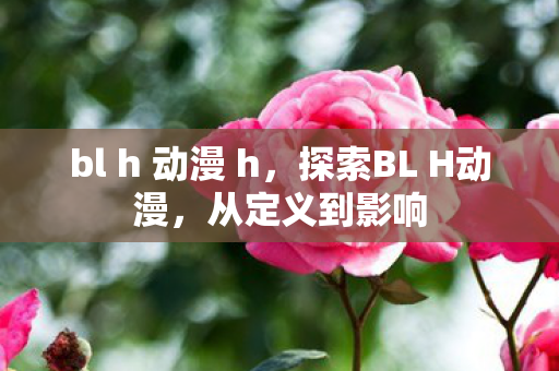 bl h 动漫 h,探索BL H动漫,从定义到影响 bl h 动漫 h,探索BL H动漫,从定义到影响