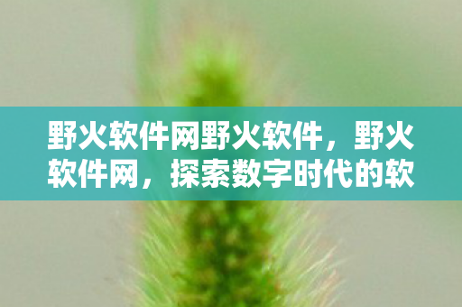 野火软件网野火软件,野火软件网,探索数字时代的软件创新与应用 野火软件网野火软件,野火软件网,探索数字时代的软件创新与应用