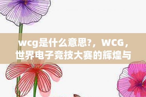 wcg是什么意思?,WCG,世界电子竞技大赛的辉煌与未来 wcg是什么意思?,WCG,世界电子竞技大赛的辉煌与未来