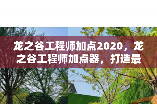龙之谷工程师加点2020,龙之谷工程师加点器,打造最强工程大师 龙之谷工程师加点2020,龙之谷工程师加点器,打造最强工程大师