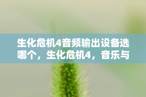 生化危机4音频输出设备选哪个,生化危机4,音乐与情感的交织 生化危机4音频输出设备选哪个,生化危机4,音乐与情感的交织