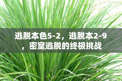 逃脱本色5-2,逃脱本2-9,密室逃脱的终极挑战 逃脱本色5-2,逃脱本2-9,密室逃脱的终极挑战