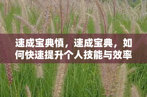速成宝典慎,速成宝典,如何快速提升个人技能与效率 速成宝典慎,速成宝典,如何快速提升个人技能与效率