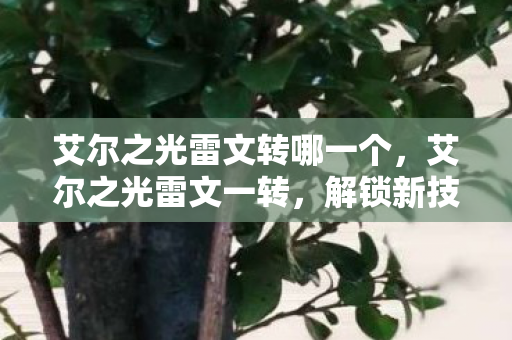 艾尔之光雷文转哪一个，艾尔之光雷文一转，解锁新技能，开启冒险新篇章