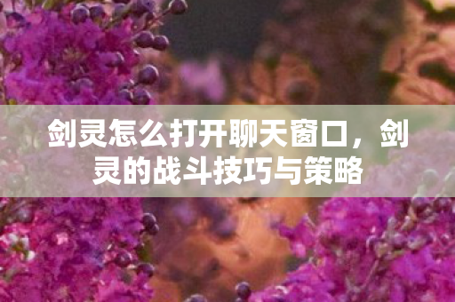 剑灵怎么打开聊天窗口,剑灵的战斗技巧与策略 剑灵怎么打开聊天窗口,剑灵的战斗技巧与策略