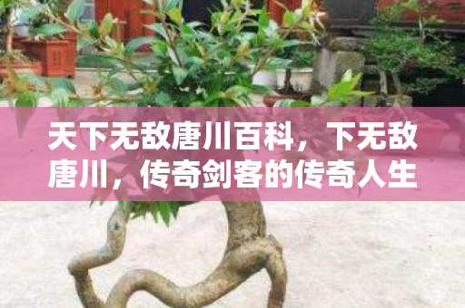 天下无敌唐川百科，下无敌唐川，传奇剑客的传奇人生