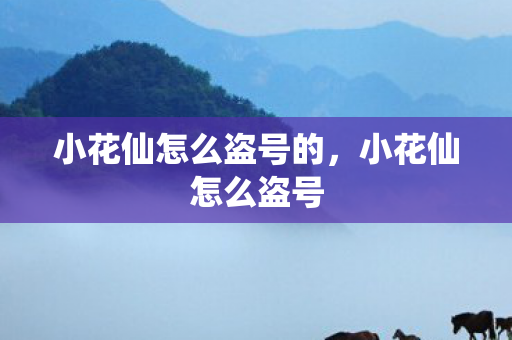 小花仙怎么盗号的,小花仙怎么盗号 小花仙怎么盗号的,小花仙怎么盗号
