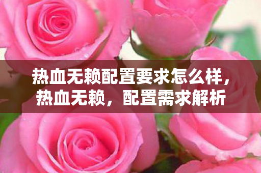 热血无赖配置要求怎么样，热血无赖，配置需求解析