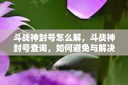 斗战神封号怎么解，斗战神封号查询，如何避免与解决账号封禁问题