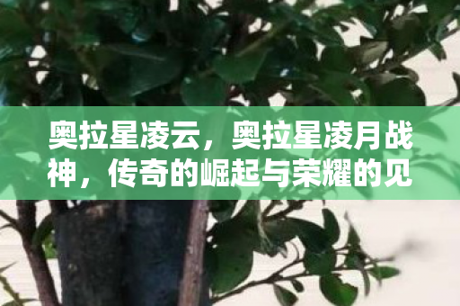 奥拉星凌云,奥拉星凌月战神,传奇的崛起与荣耀的见证 奥拉星凌云,奥拉星凌月战神,传奇的崛起与荣耀的见证