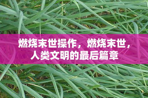 燃烧末世操作,燃烧末世,人类文明的最后篇章 燃烧末世操作,燃烧末世,人类文明的最后篇章