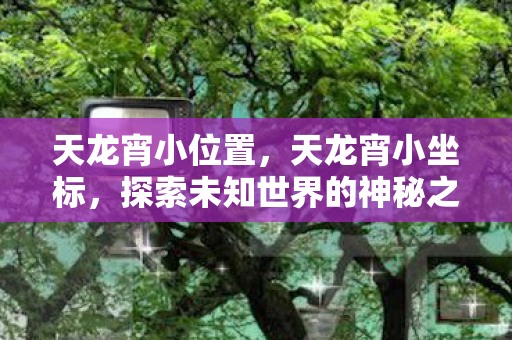 天龙宵小位置，天龙宵小坐标，探索未知世界的神秘之旅