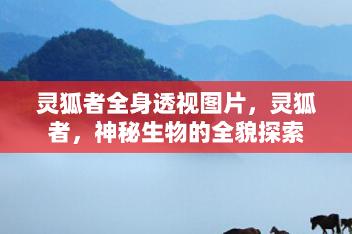 灵狐者全身透视图片，灵狐者，神秘生物的全貌探索