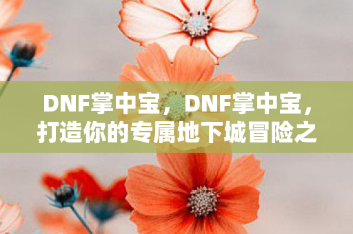 DNF掌中宝,DNF掌中宝,打造你的专属地下城冒险之旅 DNF掌中宝,DNF掌中宝,打造你的专属地下城冒险之旅