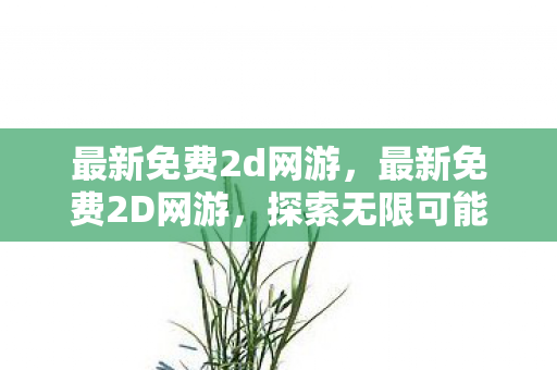 最新免费2d网游，最新免费2D网游，探索无限可能，享受游戏乐趣