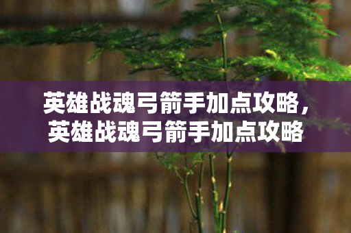 英雄战魂弓箭手加点攻略,英雄战魂弓箭手加点攻略 英雄战魂弓箭手加点攻略,英雄战魂弓箭手加点攻略