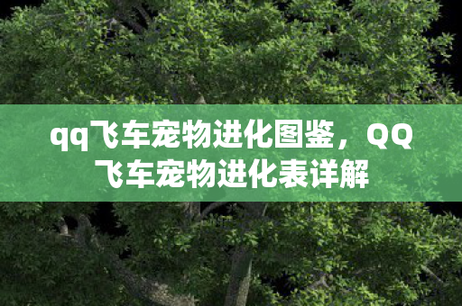 qq飞车宠物进化图鉴，QQ飞车宠物进化表详解