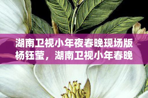 湖南卫视小年夜春晚现场版杨钰莹,湖南卫视小年春晚,传统与现代的完美融合 湖南卫视小年夜春晚现场版杨钰莹,湖南卫视小年春晚,传统与现代的完美融合