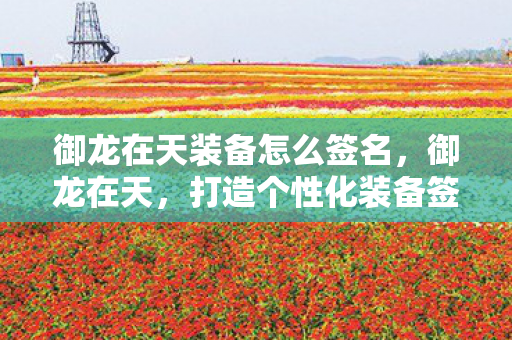 御龙在天装备怎么签名，御龙在天，打造个性化装备签名的艺术