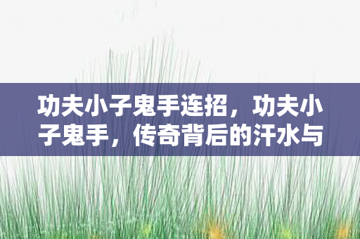 功夫小子鬼手连招，功夫小子鬼手，传奇背后的汗水与坚持