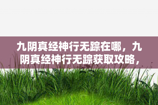 九阴真经神行无踪在哪，九阴真经神行无踪获取攻略，解锁江湖奇技，畅游武侠世界