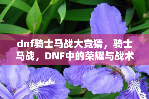 dnf骑士马战大竞猜，骑士马战，DNF中的荣耀与战术
