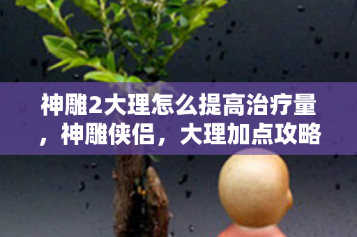 神雕2大理怎么提高治疗量，神雕侠侣，大理加点攻略