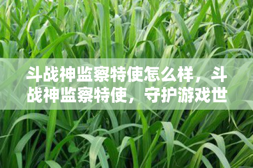 斗战神监察特使怎么样,斗战神监察特使,守护游戏世界的正义使者 斗战神监察特使怎么样,斗战神监察特使,守护游戏世界的正义使者