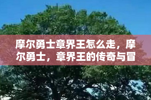 摩尔勇士章界王怎么走,摩尔勇士,章界王的传奇与冒险 摩尔勇士章界王怎么走,摩尔勇士,章界王的传奇与冒险