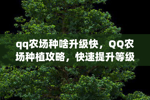 qq农场种啥升级快，QQ农场种植攻略，快速提升等级与收益的植物推荐