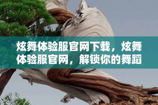 炫舞体验服官网下载,炫舞体验服官网,解锁你的舞蹈梦想 炫舞体验服官网下载,炫舞体验服官网,解锁你的舞蹈梦想