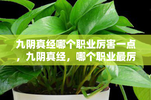九阴真经哪个职业厉害一点,九阴真经,哪个职业最厉害? 九阴真经哪个职业厉害一点,九阴真经,哪个职业最厉害?