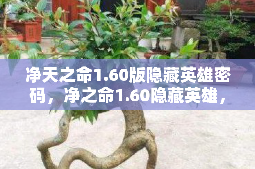 净天之命1.60版隐藏英雄密码,净之命1.60隐藏英雄,解锁传奇世界的秘密 净天之命1.60版隐藏英雄密码,净之命1.60隐藏英雄,解锁传奇世界的秘密