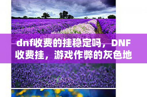 dnf收费的挂稳定吗，DNF收费挂，游戏作弊的灰色地带
