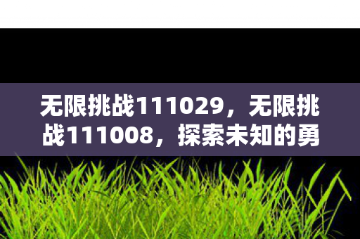 无限挑战111029，无限挑战111008，探索未知的勇气与坚持