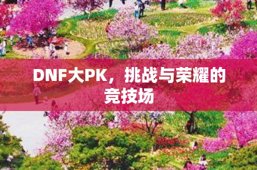 DNF大PK,挑战与荣耀的竞技场 DNF大PK,挑战与荣耀的竞技场