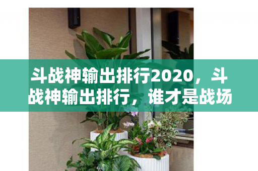 斗战神输出排行2020，斗战神输出排行，谁才是战场上的真正王者？