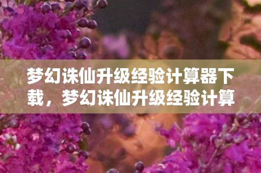 梦幻诛仙升级经验计算器下载，梦幻诛仙升级经验计算器，助你轻松掌握角色成长之路