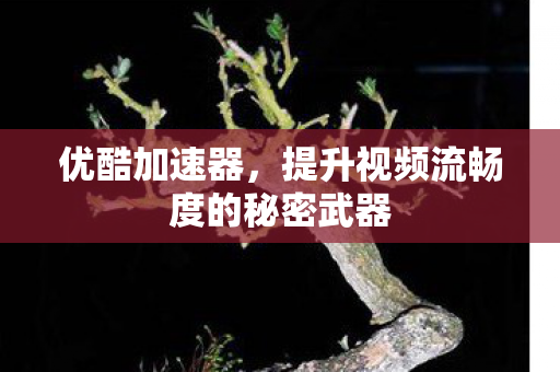 优酷加速器，提升视频流畅度的秘密武器