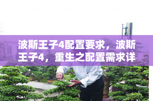 波斯王子4配置要求，波斯王子4，重生之配置需求详解